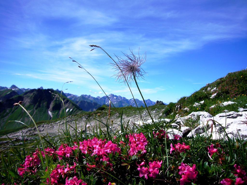 Alpenflair Haus Doris